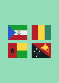 Guinean Flag Band