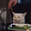 cat_1688892 avatar