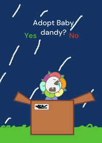 Adopt baby dandy?