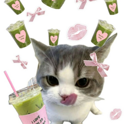 @ratthewww