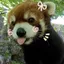 StarTheSparkle avatar