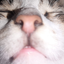User230GD avatar