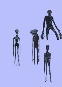 Free fan made stalkers