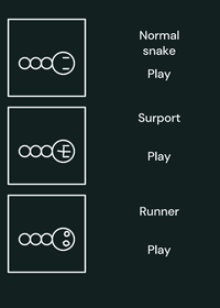 A simple snake game