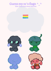 🏳️‍🌈🏳️‍⚧️