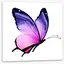butterdlypurple avatar