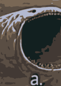 Blender game