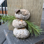RockStatue avatar