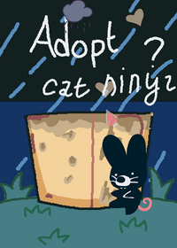 Adopsi cat ninja