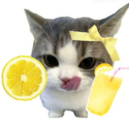 @4D3L