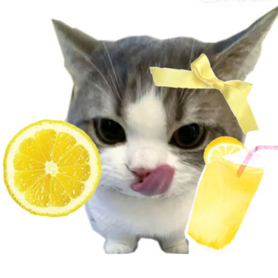 @4D3L