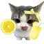 4D3L avatar