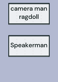 Cameraman ragdoll