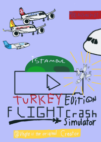 Fligth crash similator but its Turkey
