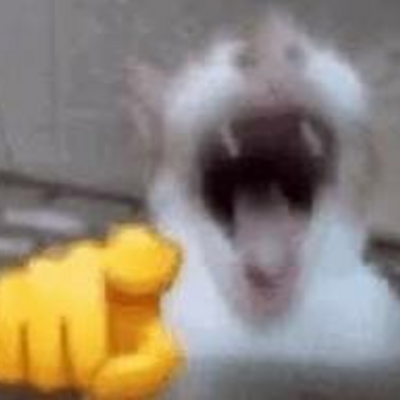 @catpng