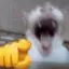 catpng avatar