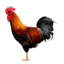 scaryguyYT avatar