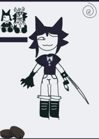 Miss circle ragdoll