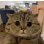 BuilderBean avatar