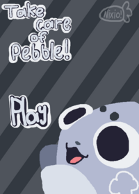 Take care of pebble!