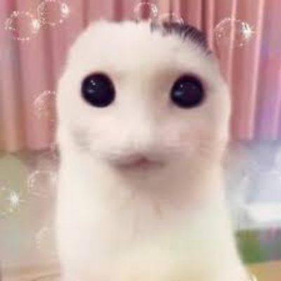 @Wau365