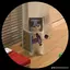 edan143 avatar