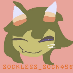 @sockless_sock456