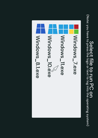 Windows Beta