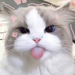 @Mo_ru_chan