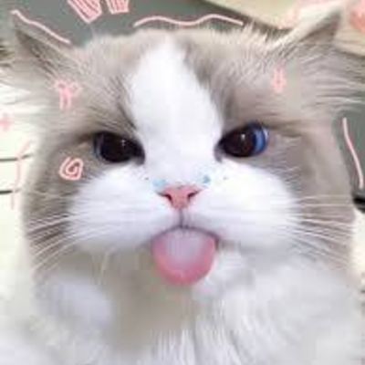 @Mo_ru_chan