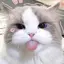 Mo_ru_chan avatar