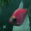 UNWELL404 avatar