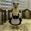 that_chicken avatar