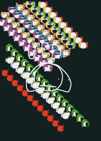 Emoji cat race