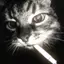 Dr_Freak avatar