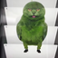 totopo avatar