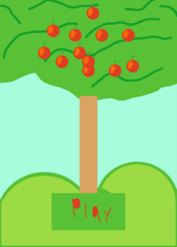 Apple catcher