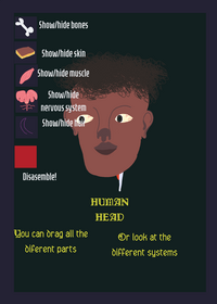 I made a human head in less than a day!