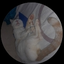 miouh1 avatar
