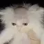 DoubleCat avatar