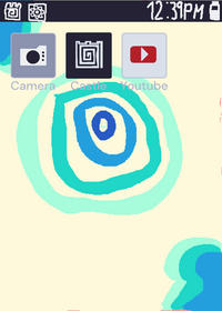 phone.