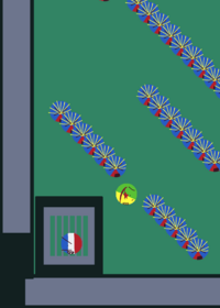 French Infection.