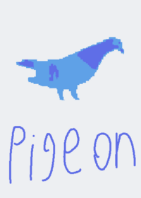 One little pigeon 💠