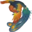 SOLANGEMENDONACNNDRG avatar