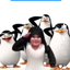 jiba avatar