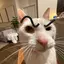 Endless_Face avatar