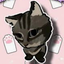 sudenaz avatar