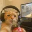 MrReddy avatar