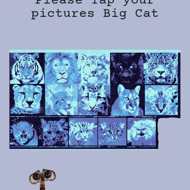 Big Cat Tournament by @TigerDragon2026