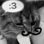 TheSecondThreat_CSB avatar
